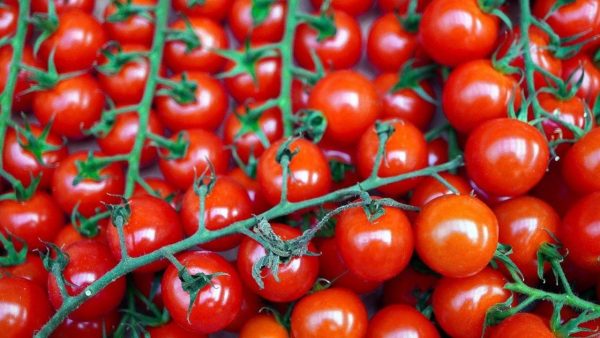 Что помидоры способны сделать с человеческим организмом