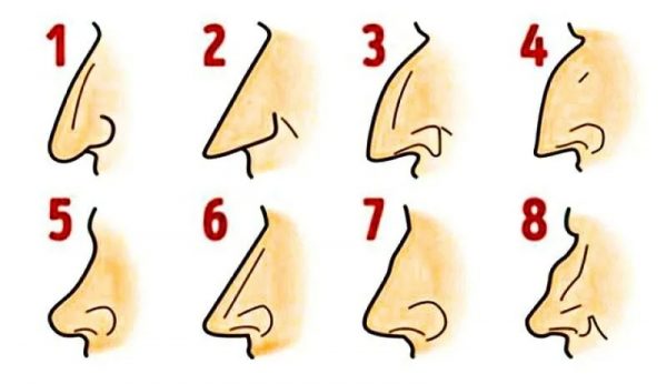 Греческий или с горбинкой: что форма носа расскажет о вашем характере