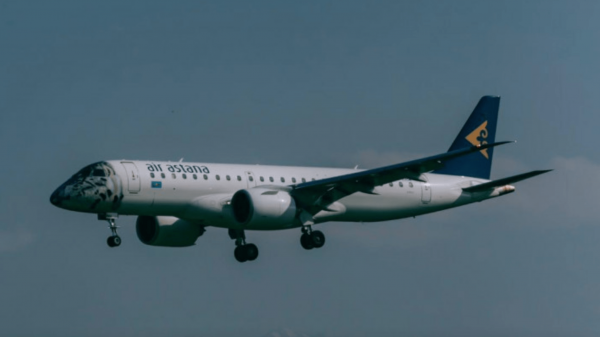 Air Astana зафиксировала 100 случаев столкновения птиц с самолетами