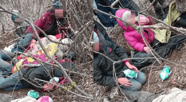 «Это мои дети, честное слово»: семью нашли в лесу в Казахстане