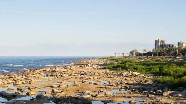 Что ждёт Каспий до 2050 года: Минэкологии озвучило два сценария